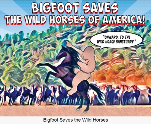 BGFT News Wild Horse Pereservation