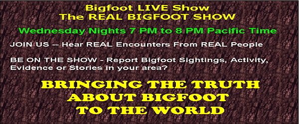 Finding Bigfoot Show Does Bigfoot Exist